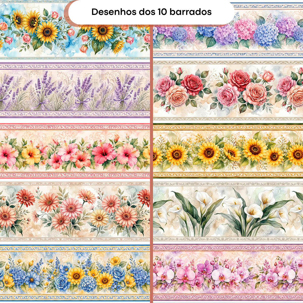 V498 BARRADOS
